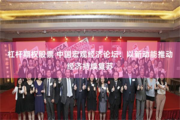 杠杆期权股票 中国宏观经济论坛：以新动能推动经济持续复苏