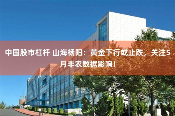 中国股市杠杆 山海杨阳：黄金下行或止跌，关注5月非农数据影响！
