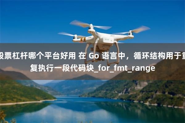 股票杠杆哪个平台好用 在 Go 语言中，循环结构用于重复执行一段代码块_for_fmt_range