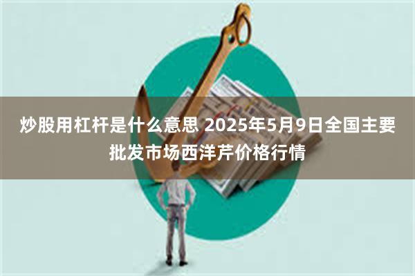 炒股用杠杆是什么意思 2025年5月9日全国主要批发市场西洋芹价格行情