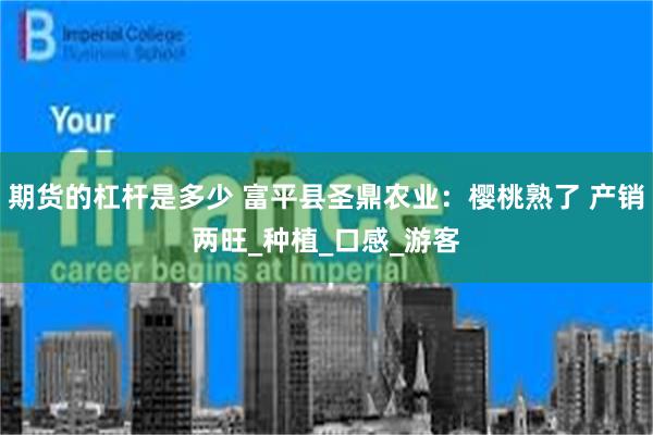 期货的杠杆是多少 富平县圣鼎农业：樱桃熟了 产销两旺_种植_口感_游客