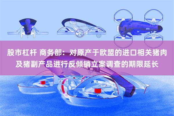 股市杠杆 商务部：对原产于欧盟的进口相关猪肉及猪副产品进行反倾销立案调查的期限延长