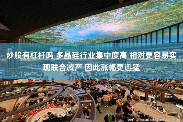 炒股有杠杆吗 多晶硅行业集中度高 相对更容易实现联合减产 因此涨幅更迅猛