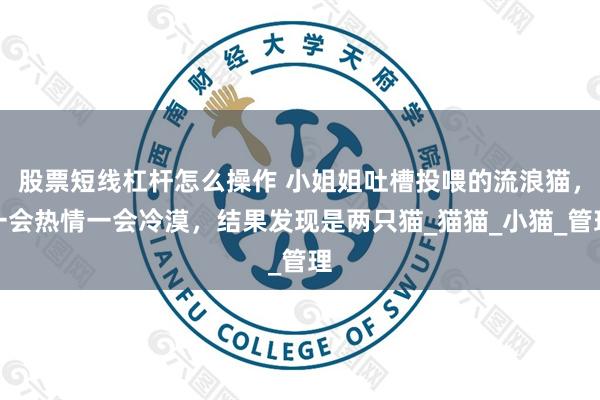 股票短线杠杆怎么操作 小姐姐吐槽投喂的流浪猫，一会热情一会冷漠，结果发现是两只猫_猫猫_小猫_管理