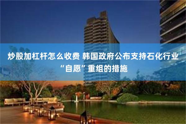 炒股加杠杆怎么收费 韩国政府公布支持石化行业“自愿”重组的措施