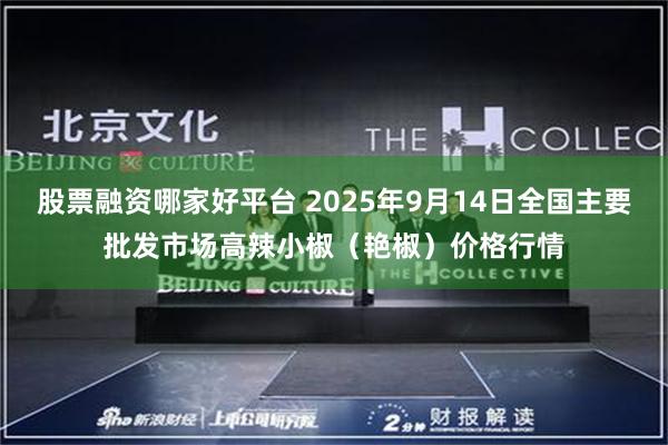 股票融资哪家好平台 2025年9月14日全国主要批发市场高辣小椒（艳椒）价格行情
