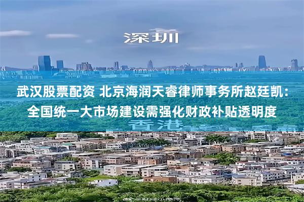 武汉股票配资 北京海润天睿律师事务所赵廷凯：全国统一大市场建设需强化财政补贴透明度