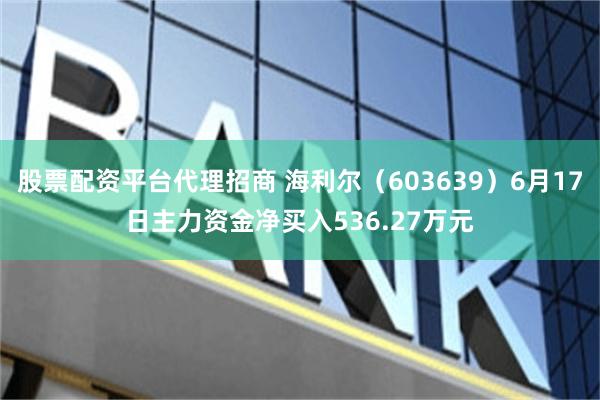 股票配资平台代理招商 海利尔（603639）6月17日主力资金净买入536.27万元