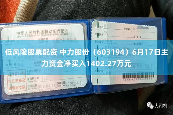 低风险股票配资 中力股份（603194）6月17日主力资金净买入1402.27万元