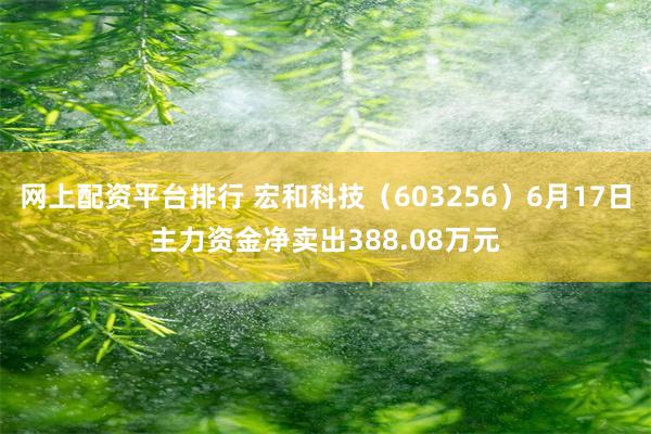 网上配资平台排行 宏和科技（603256）6月17日主力资金净卖出388.08万元