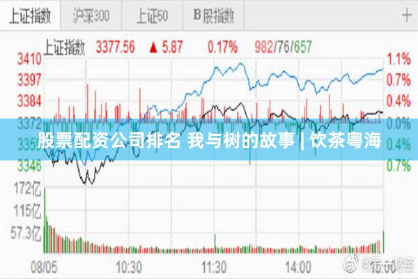 股票配资公司排名 我与树的故事 | 饮茶粤海