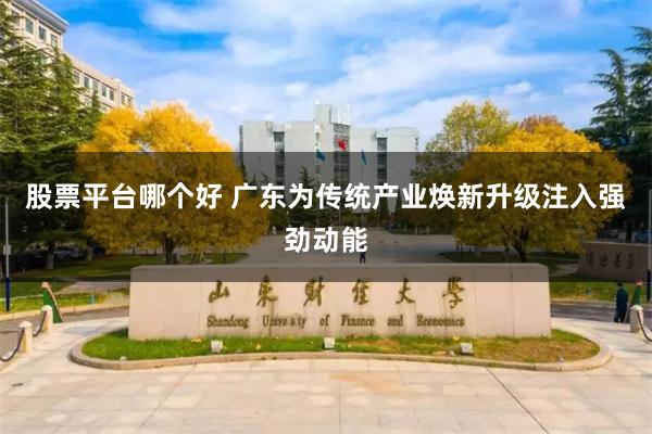 股票平台哪个好 广东为传统产业焕新升级注入强劲动能
