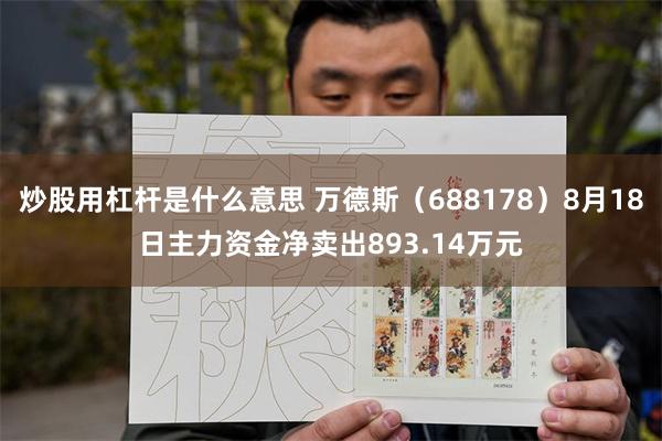 炒股用杠杆是什么意思 万德斯（688178）8月18日主力资金净卖出893.14万元