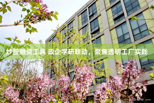 炒股融资工具 政企学研联动,聚焦透明工厂实践