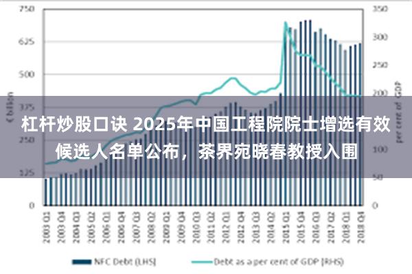杠杆炒股口诀 2025年中国工程院院士增选有效候选人名单公布，茶界宛晓春教授入围