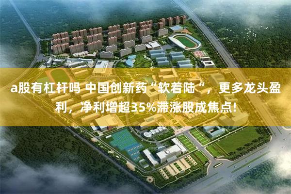 a股有杠杆吗 中国创新药“软着陆“,更多龙头盈利,净利增超35%滞涨股成焦点!