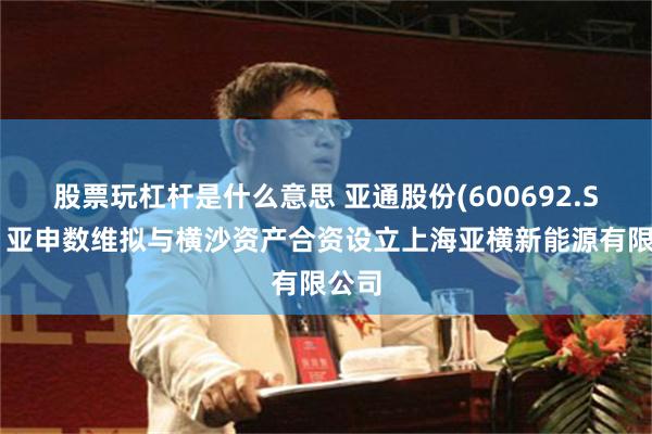 股票玩杠杆是什么意思 亚通股份(600692.SH)：亚申数维拟与横沙资产合资设立上海亚横新能源有限公司