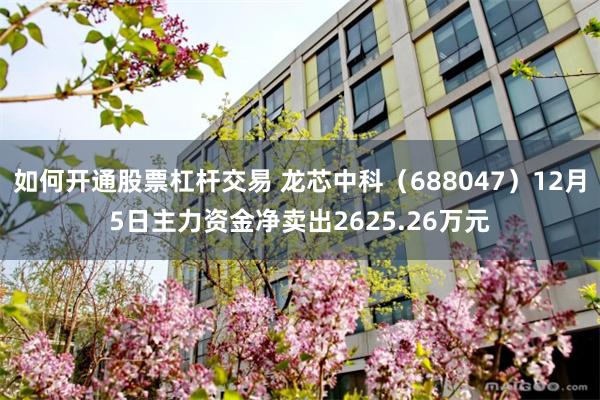 如何开通股票杠杆交易 龙芯中科（688047）12月5日主力资金净卖出2625.26万元
