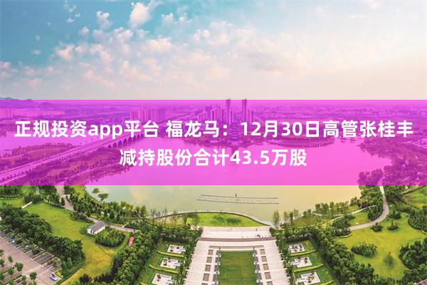 正规投资app平台 福龙马:12月30日高管张桂丰减持股份合计43.5万股
