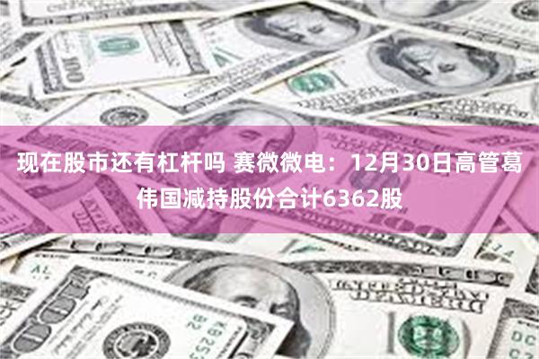 现在股市还有杠杆吗 赛微微电：12月30日高管葛伟国减持股份合计6362股