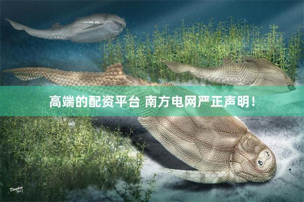 高端的配资平台 南方电网严正声明!