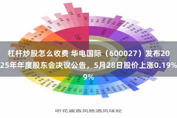 杠杆炒股怎么收费 华电国际(600027)发布2025年年度股东会决议公告,5月28日股价上涨0.19%