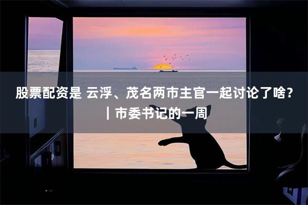 股票配资是 云浮、茂名两市主官一起讨论了啥？｜市委书记的一周