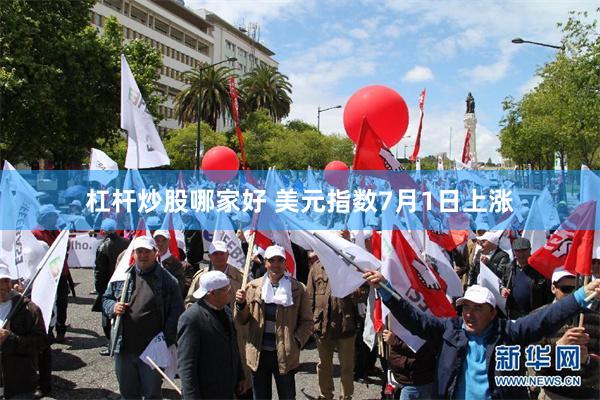 杠杆炒股哪家好 美元指数7月1日上涨