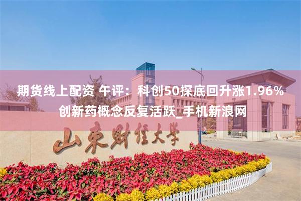 期货线上配资 午评：科创50探底回升涨1.96% 创新药概念反复活跃_手机新浪网