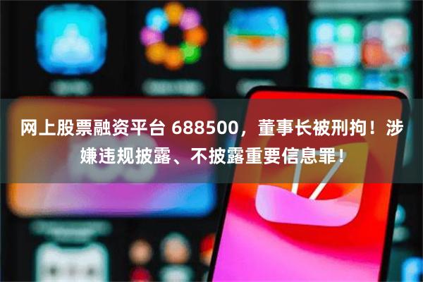 网上股票融资平台 688500，董事长被刑拘！涉嫌违规披露、不披露重要信息罪！