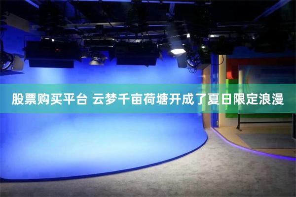 股票购买平台 云梦千亩荷塘开成了夏日限定浪漫