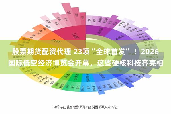 股票期货配资代理 23项“全球首发” ！2026国际低空经济博览会开幕，这些硬核科技齐亮相