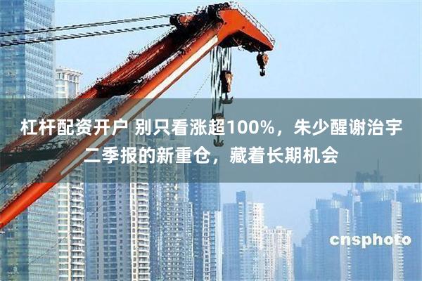 杠杆配资开户 别只看涨超100%，朱少醒谢治宇二季报的新重仓，藏着长期机会