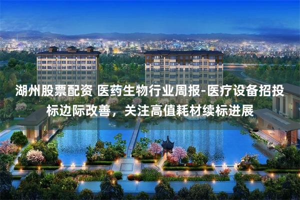 湖州股票配资 医药生物行业周报-医疗设备招投标边际改善,关注高值耗材续标进展