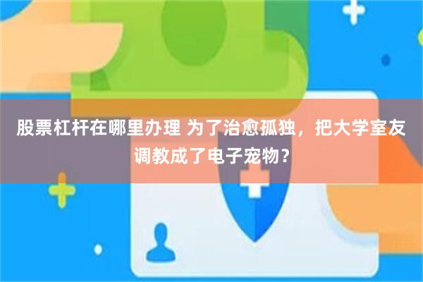 股票杠杆在哪里办理 为了治愈孤独，把大学室友调教成了电子宠物？