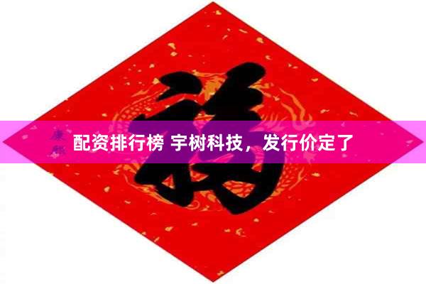配资排行榜 宇树科技,发行价定了