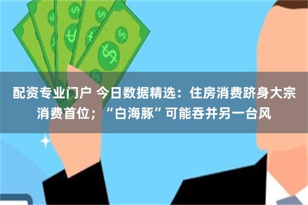 配资专业门户 今日数据精选：住房消费跻身大宗消费首位；“白海豚”可能吞并另一台风