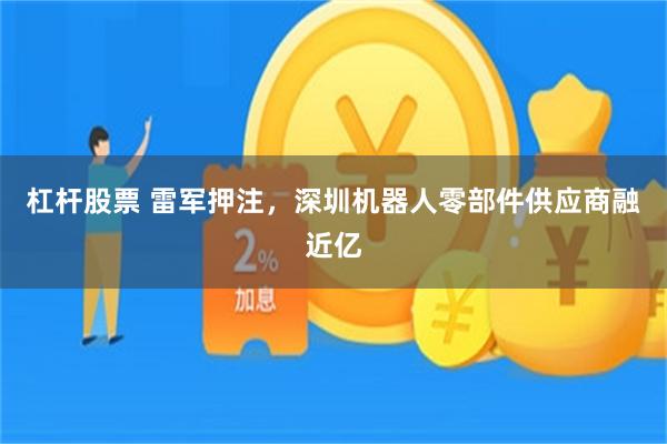 杠杆股票 雷军押注，深圳机器人零部件供应商融近亿