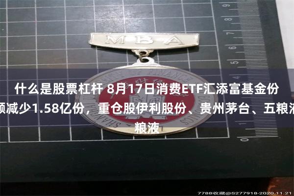 什么是股票杠杆 8月17日消费ETF汇添富基金份额减少1.58亿份，重仓股伊利股份、贵州茅台、五粮液