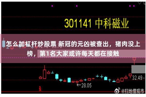 怎么加杠杆炒股票 新冠的元凶被查出，猪肉没上榜，第1名大家或许每天都在接触