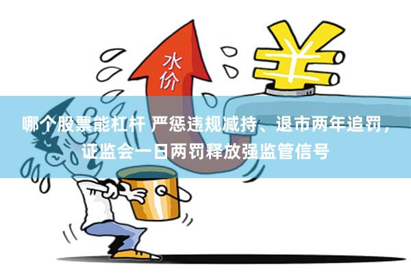 哪个股票能杠杆 严惩违规减持、退市两年追罚，证监会一日两罚释放强监管信号