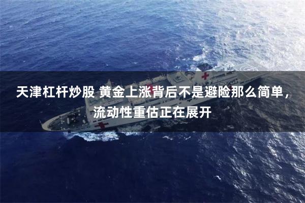 天津杠杆炒股 黄金上涨背后不是避险那么简单，流动性重估正在展开