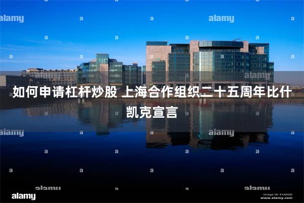 如何申请杠杆炒股 上海合作组织二十五周年比什凯克宣言