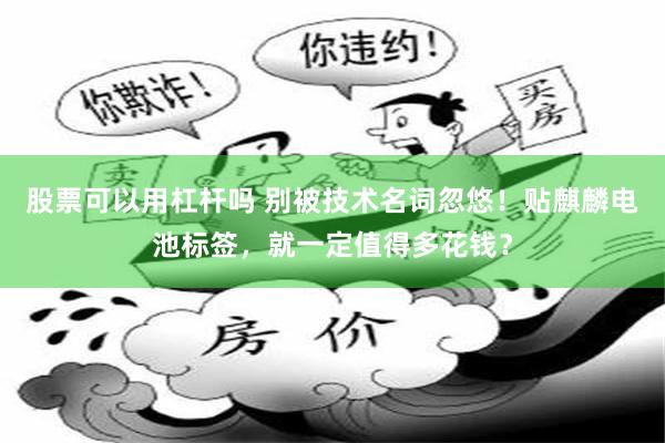 股票可以用杠杆吗 别被技术名词忽悠！贴麒麟电池标签，就一定值得多花钱？