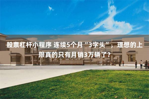 股票杠杆小程序 连续5个月“3字头”，理想的上限真的只有月销3万辆了？