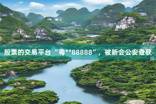 股票的交易平台 “粤**88888”,被新会公安查获