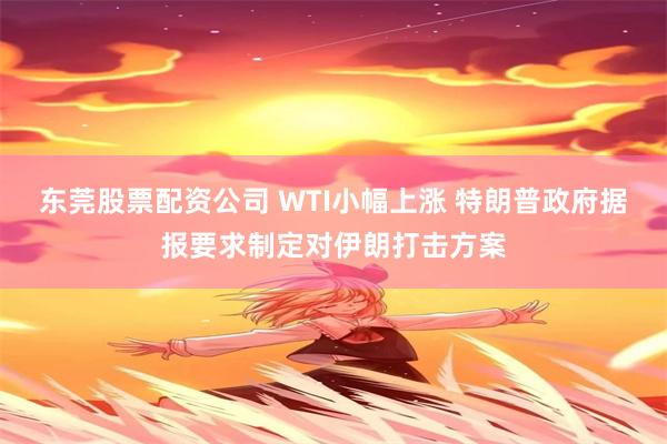 东莞股票配资公司 WTI小幅上涨 特朗普政府据报要求制定对伊朗打击方案