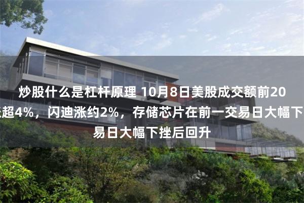 炒股什么是杠杆原理 10月8日美股成交额前20:美光涨超4%,闪迪涨约2%,存储芯片在前一交易日大幅下挫后回升