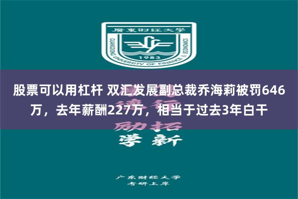股票可以用杠杆 双汇发展副总裁乔海莉被罚646万，去年薪酬227万，相当于过去3年白干